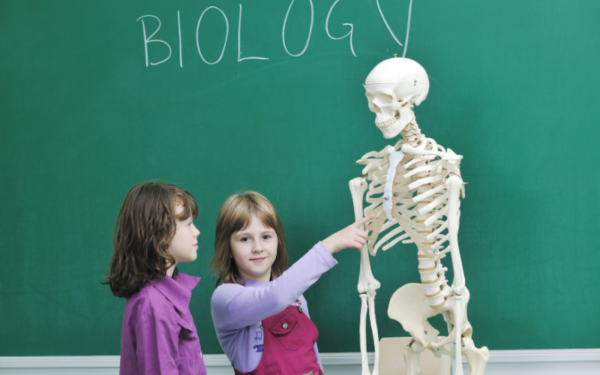 Biology